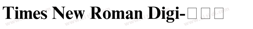 Times New Roman Digi字体转换